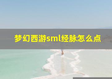 梦幻西游sml经脉怎么点