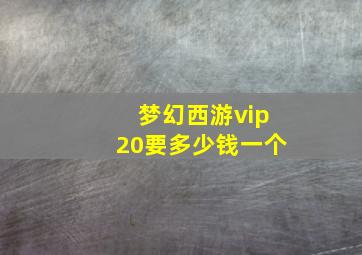 梦幻西游vip20要多少钱一个