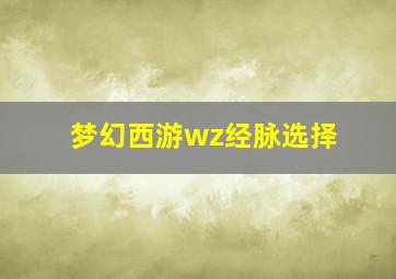 梦幻西游wz经脉选择