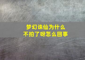 梦幻诛仙为什么不拍了呀怎么回事