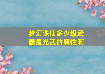 梦幻诛仙多少级武器是光武的属性啊