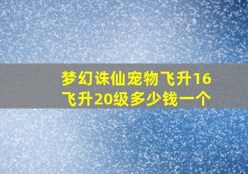 梦幻诛仙宠物飞升16飞升20级多少钱一个