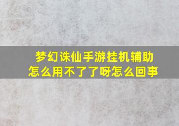 梦幻诛仙手游挂机辅助怎么用不了了呀怎么回事