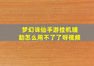 梦幻诛仙手游挂机辅助怎么用不了了呀视频