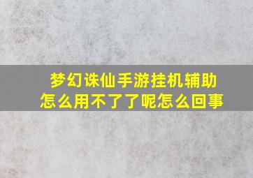 梦幻诛仙手游挂机辅助怎么用不了了呢怎么回事