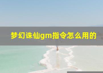 梦幻诛仙gm指令怎么用的