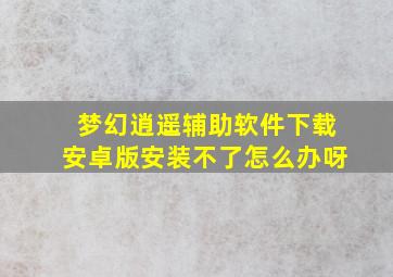 梦幻逍遥辅助软件下载安卓版安装不了怎么办呀