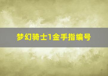 梦幻骑士1金手指编号