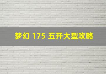 梦幻 175 五开大型攻略