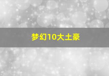 梦幻10大土豪