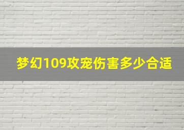 梦幻109攻宠伤害多少合适