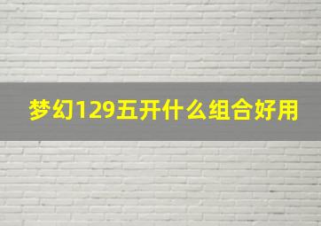 梦幻129五开什么组合好用