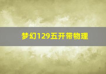 梦幻129五开带物理