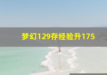 梦幻129存经验升175