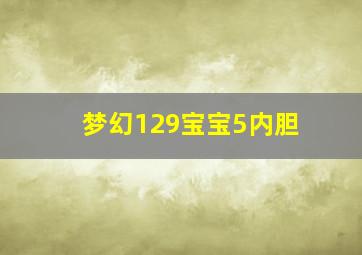 梦幻129宝宝5内胆