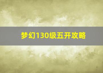 梦幻130级五开攻略