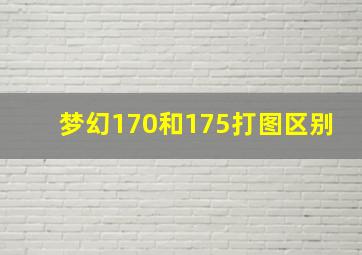 梦幻170和175打图区别