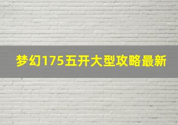 梦幻175五开大型攻略最新