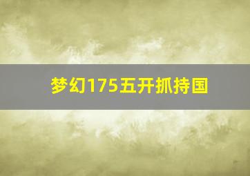 梦幻175五开抓持国