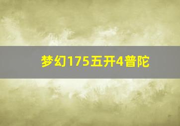 梦幻175五开4普陀