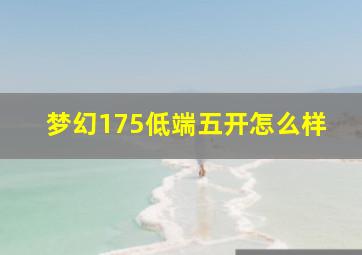 梦幻175低端五开怎么样