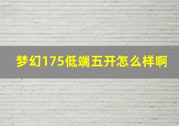 梦幻175低端五开怎么样啊