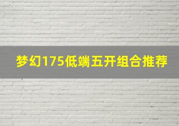 梦幻175低端五开组合推荐