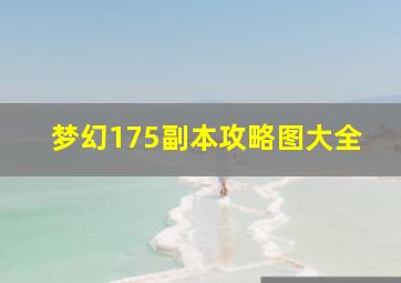 梦幻175副本攻略图大全