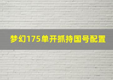 梦幻175单开抓持国号配置