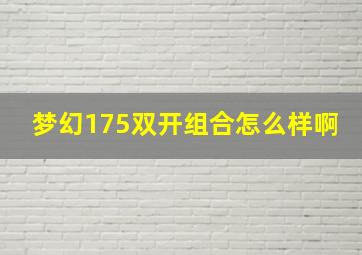 梦幻175双开组合怎么样啊