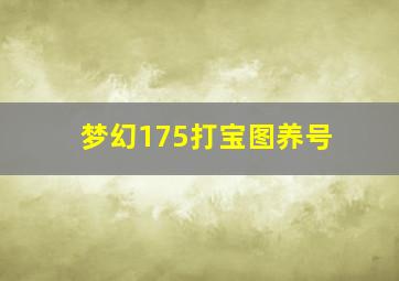 梦幻175打宝图养号