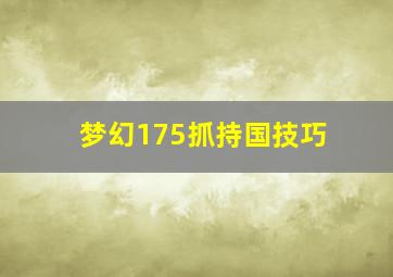 梦幻175抓持国技巧