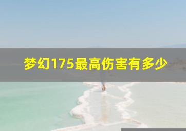 梦幻175最高伤害有多少