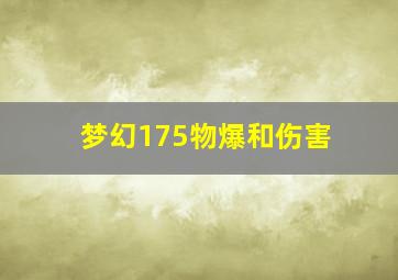 梦幻175物爆和伤害