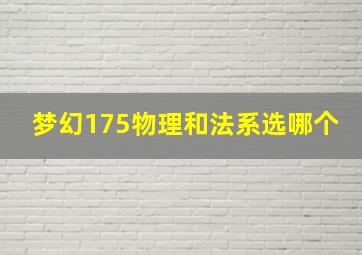 梦幻175物理和法系选哪个