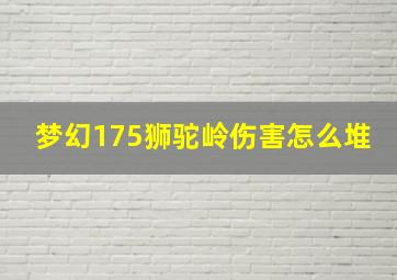 梦幻175狮驼岭伤害怎么堆