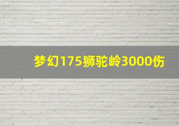 梦幻175狮驼岭3000伤