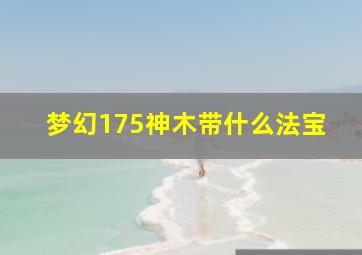 梦幻175神木带什么法宝