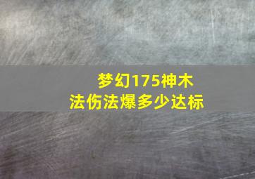 梦幻175神木法伤法爆多少达标