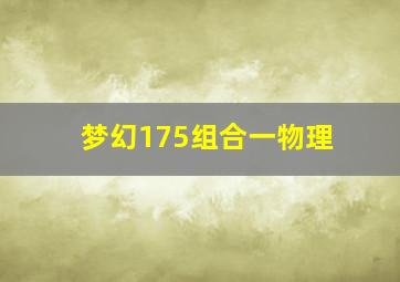 梦幻175组合一物理