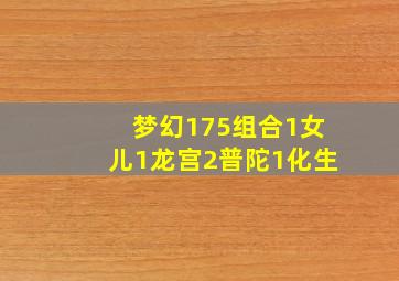 梦幻175组合1女儿1龙宫2普陀1化生