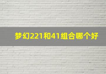 梦幻221和41组合哪个好