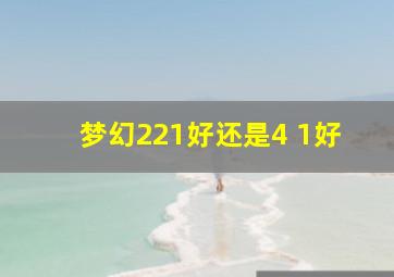 梦幻221好还是4 1好