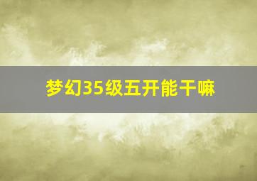 梦幻35级五开能干嘛