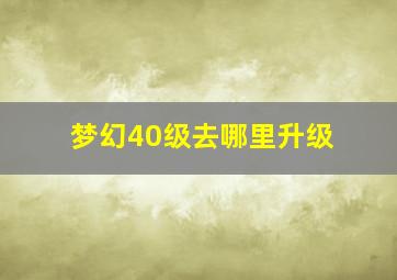 梦幻40级去哪里升级