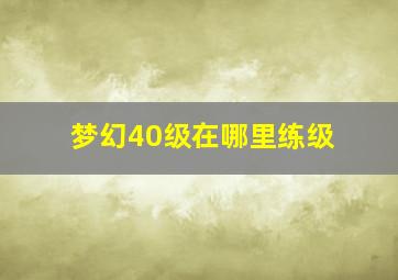 梦幻40级在哪里练级