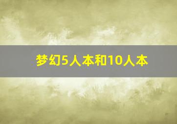 梦幻5人本和10人本