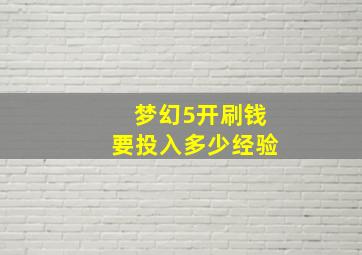 梦幻5开刷钱要投入多少经验