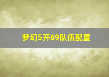 梦幻5开69队伍配置