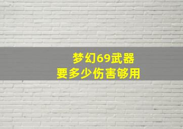 梦幻69武器要多少伤害够用